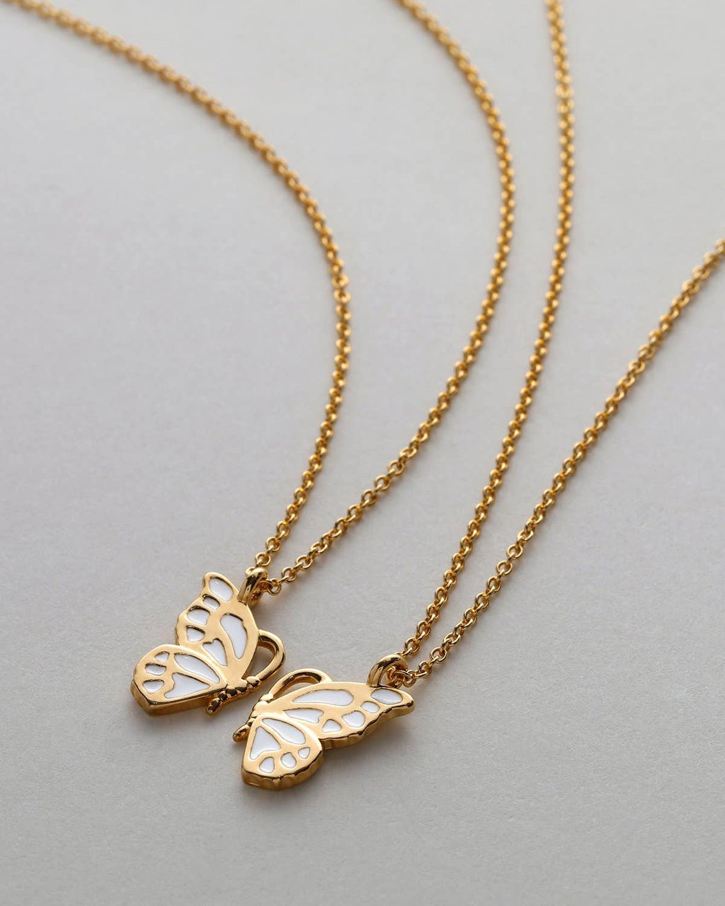 Wings to Fly Necklace Set
